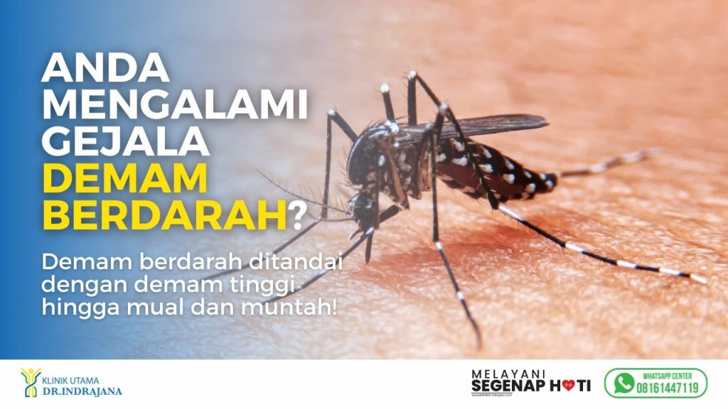 Demam Berdarah Malaria Tipes Klinik Utama Dr Indrajana Klinik